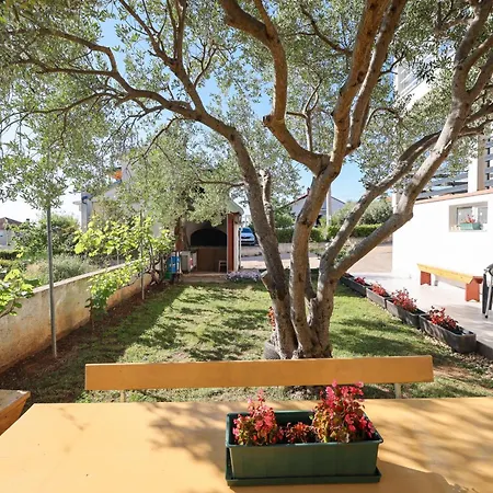 Pantalon, Big Terrace And Free Parking Zadar